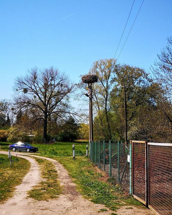 Gasthof Zum Hafen